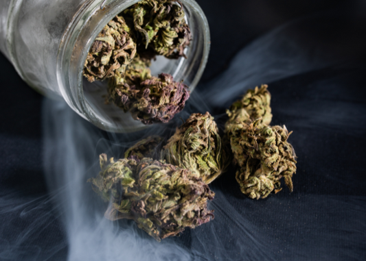 THCA Flower Storage: How to Maintain Potency, Flavor, and Freshness